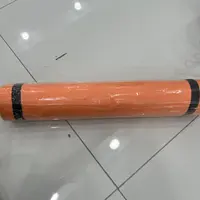 瑜伽垫家用加厚加宽款式颜色随机h