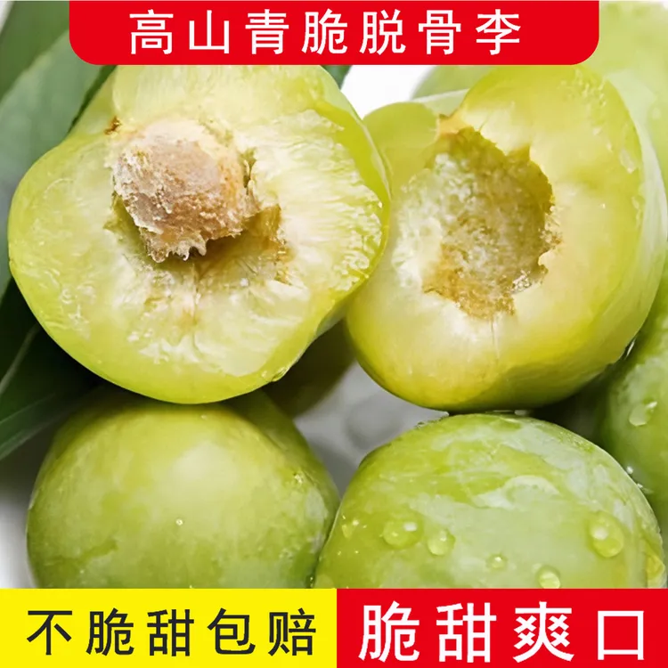 巴东正宗应季青脆李脱骨青脆李酸甜多汁新鲜采摘产地李子直发