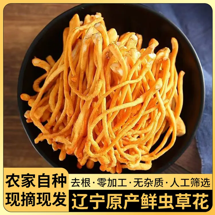 【生鲜好货】精选新鲜深山虫草花北虫草金虫草煲汤炖汤炒菜营养食材