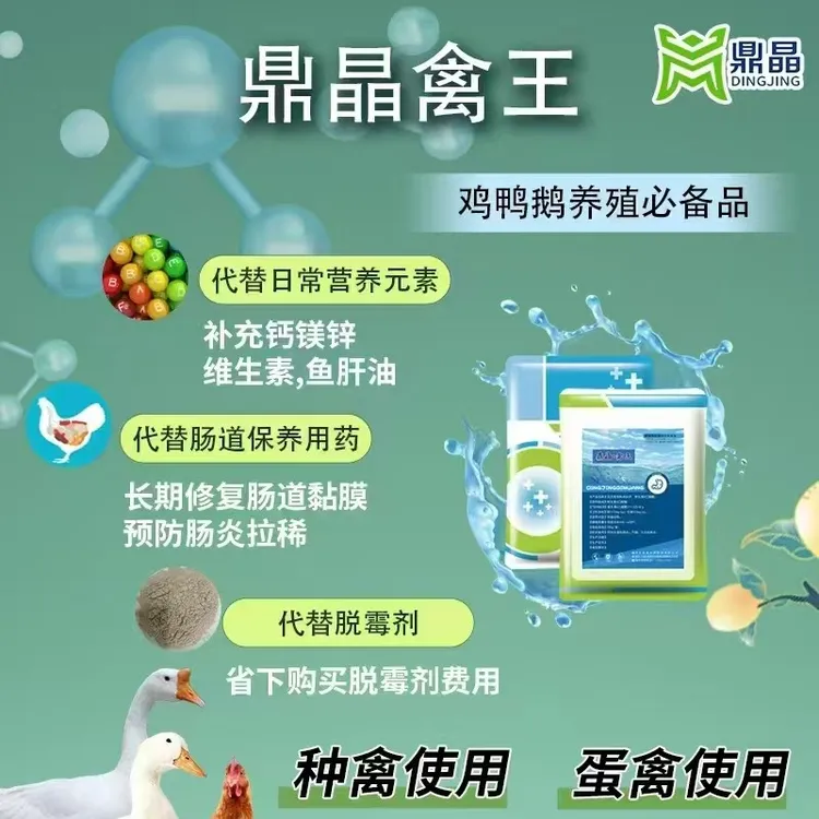 复合型营养减少脂肪肝保肝护肾提高产蛋率蛋壳好看