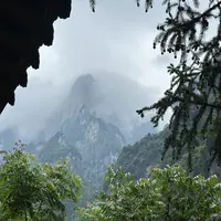 01福来精选高端文玩