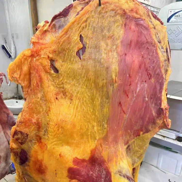 原切牛排牦牛排+青海高原+5斤装+纯草膘+带骨+纯食草动物