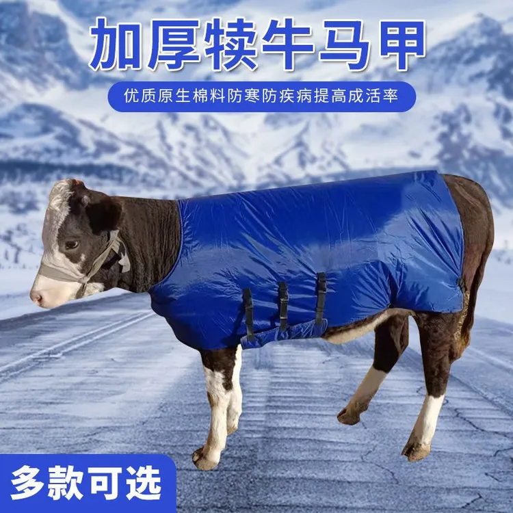 小牛外套加厚防寒牛犊马甲牛犊子保暖防水棉衣养牛场犊牛保温衣服