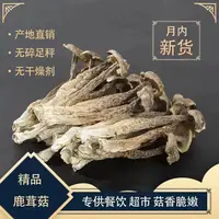  鹿茸菇干货土特产脆脆菇煲汤炒菜蘑菇500g