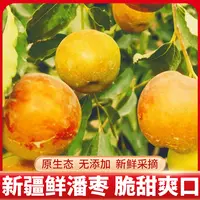 【家庭实惠装11】新疆蟠枣鲜枣脆甜不多汁蒸着更好吃