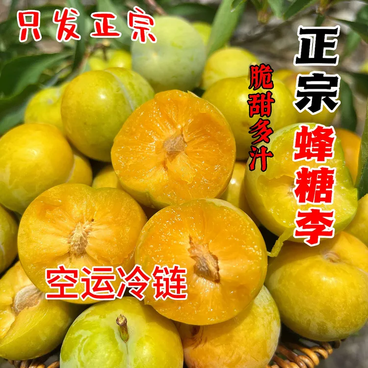 【蜂糖李】贵州镇宁六马新鲜现发脆甜脱骨蜂糖李当季孕妇水果礼盒装