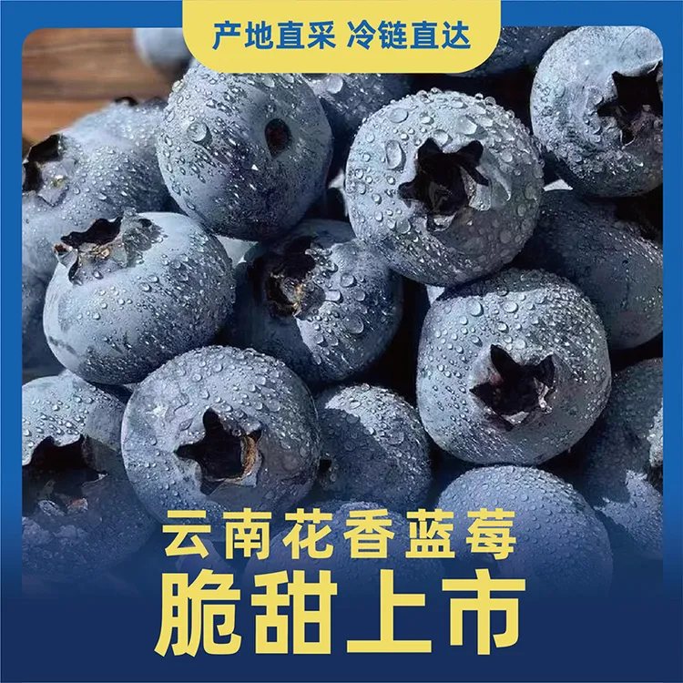 新鲜云南花香蓝莓2盒 4盒 8盒  原产地直发 京东空运