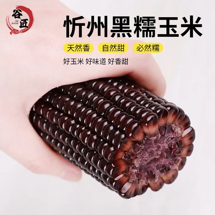 【2025年头茬黑糯】试吃2根单根200g以上整箱10根 软糯香甜饱腹粗粮