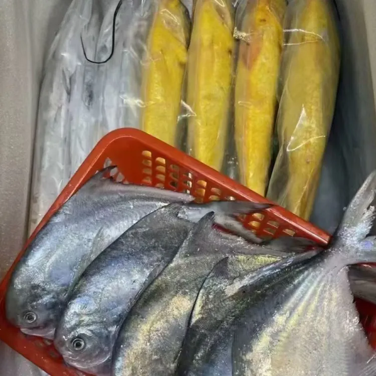 影儿生鲜：（套餐1号）商家自由搭配，江浙沪包邮-海鲜鱼链接1号