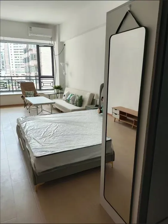 玻璃家用穿衣镜子全身镜卧室客厅壁挂上墙挂门玄关试衣镜宿舍镜子