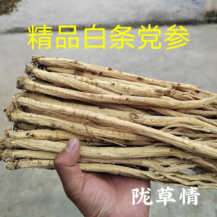 白条党参 甘肃原产地白条党参无硫新货可煲汤炖肉