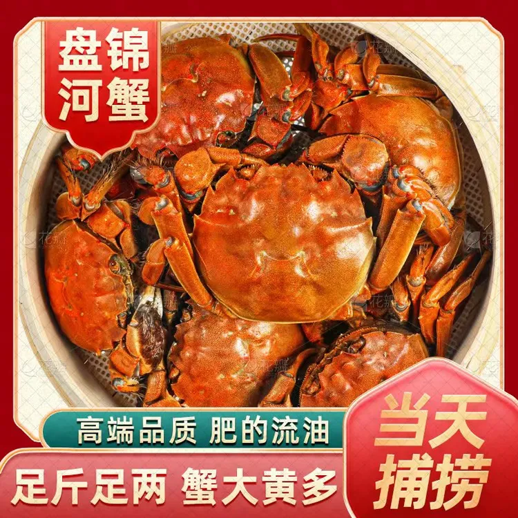 【活蟹】盘锦河蟹1.7～2.0两母蟹2斤3斤（10-17只）产地直发