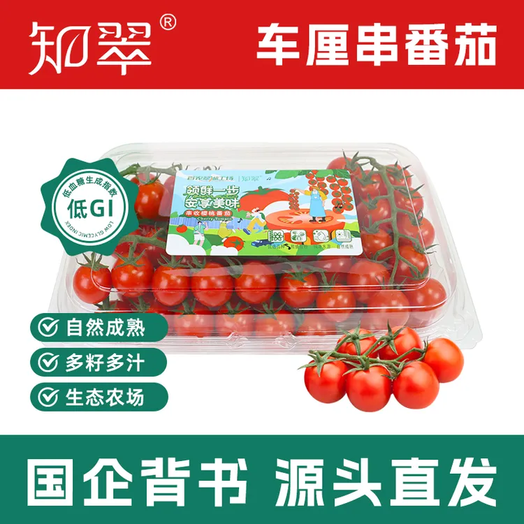 【知翠】车厘串番茄应季水果西红柿车厘串非千禧圣女果