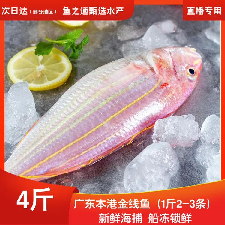 （直播专用）大号红衫鱼红三鱼金线新鲜活冻真空包装顺丰冷链3-4条