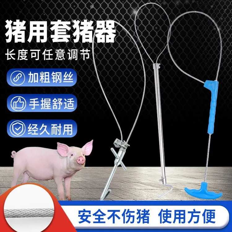 猪博士猪用套猪器保定抓猪神器兽用套嘴器助产器猪套子钢丝绳弹簧