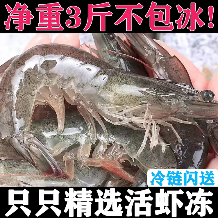 【最岛城】气冻30/40青岛大虾净重3斤到手53只左右新鲜海虾鲜活速冻