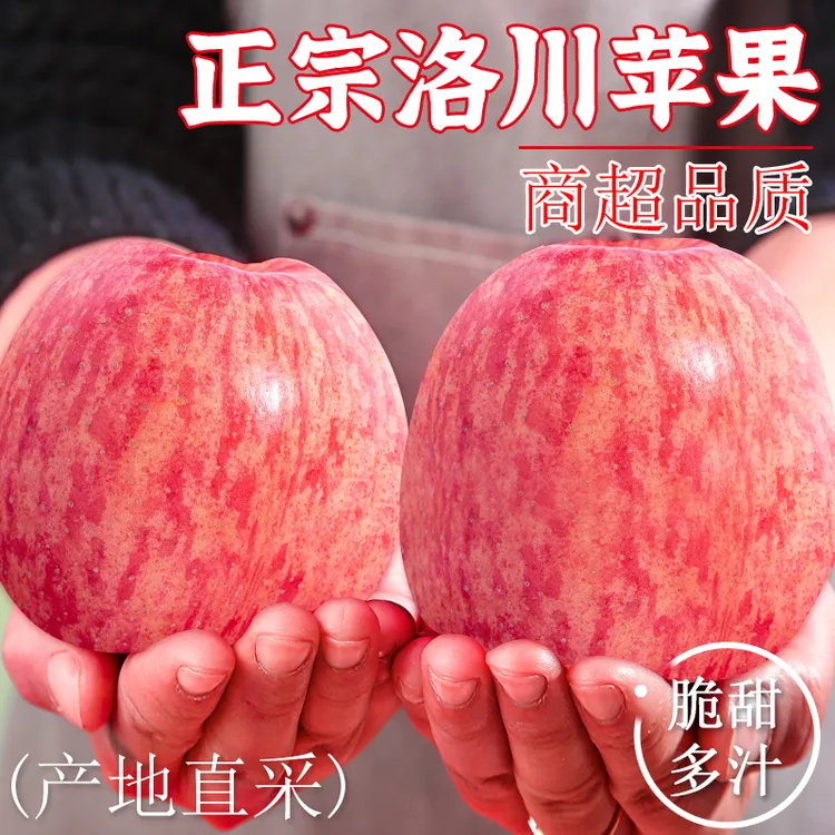 陕西洛川正宗红富士苹果脆甜多汁冰糖心产地直发新鲜水果应季整箱