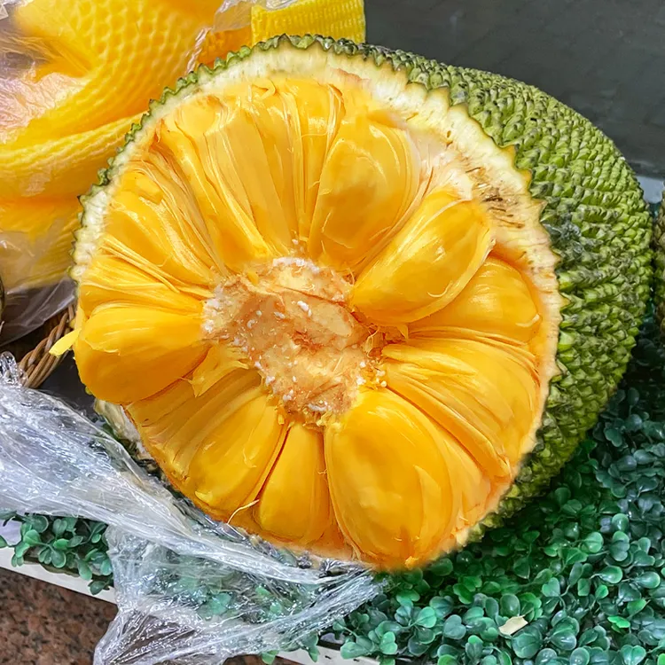 正宗海南三亚黄肉菠萝蜜一整个波罗蜜新鲜水果假榴莲红肉批发包邮