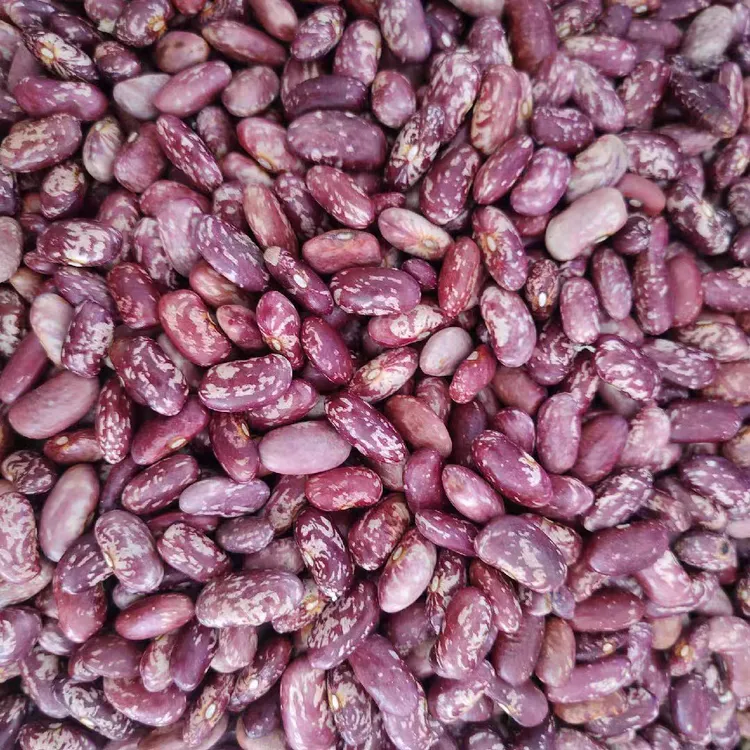 贵州花豆米红花豆芸豆酸菜豆米干豆米