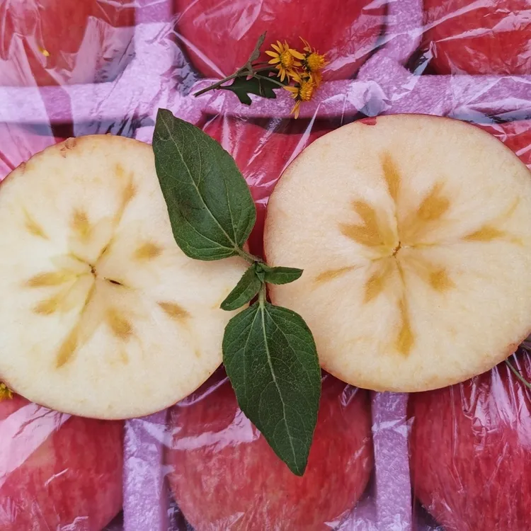 正宗灵宝寺河山冰糖心红富士果农自产自销天然富硒脆甜爽口新鲜