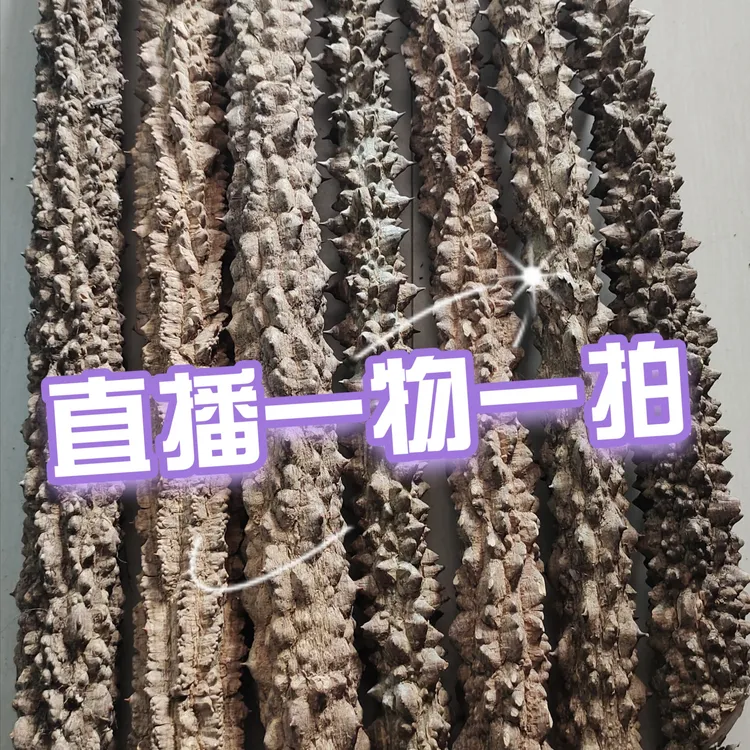 【一物一拍】降龙木花椒木带刺原木车载防身棒文玩装饰手玩棍