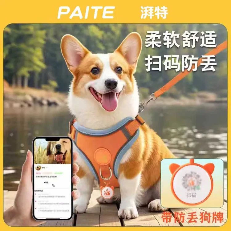 狗狗牵引绳背心式中小型犬柯基柴犬脖圈遛狗绳可调节胸背带狗链子