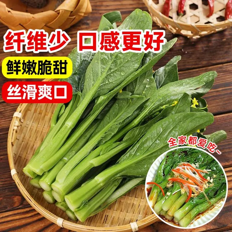 【顺丰包邮】广东农家新鲜菜心现摘油菜心甜嫩青菜苔当季青菜菜心