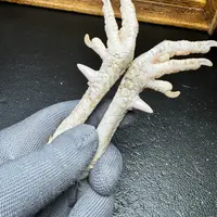 文玩鸡爪骨手把件（一对 母鸡骨 处理好十天左右发货）