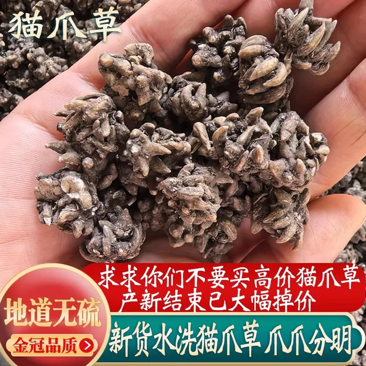 猫爪草中药材正品深山小猫爪草水洗新货散装批发猫爪草