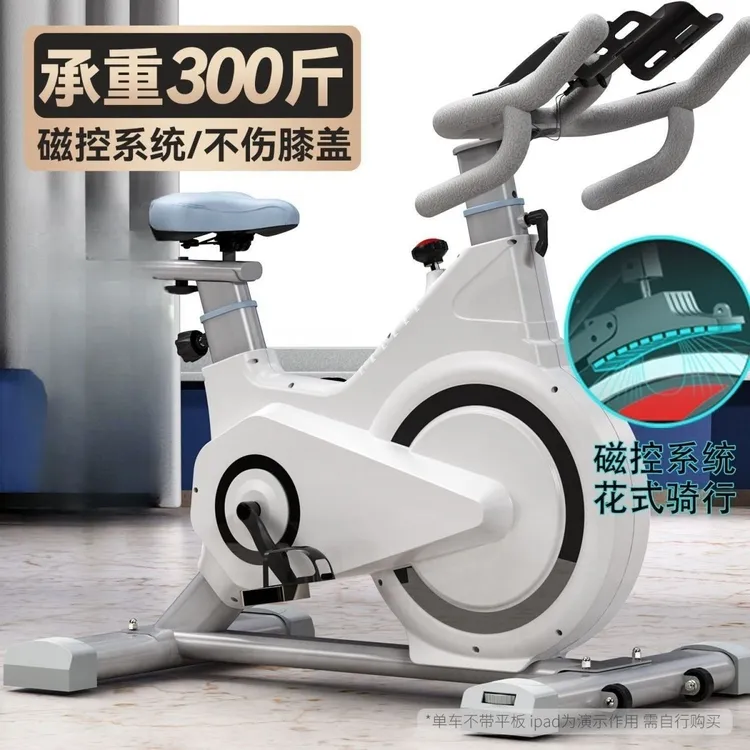 动感单车家用室内自行车健身房专用运动器材脚踏小型静音锻炼器材