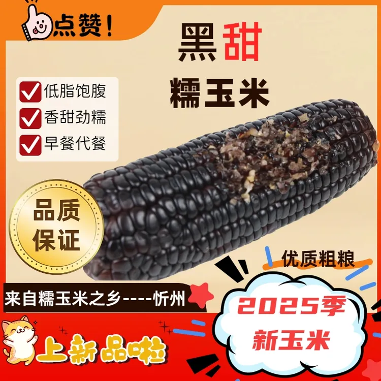 【产地直发】忻州黑糯玉米甜糯玉米甜糯真空锁鲜低脂代餐粗粮【软糯】