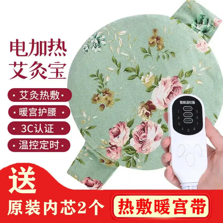 【送2片内胆】电加热艾绒艾灸宝9档控温暖宫暖肚护腰无烟艾灸艾灸仪