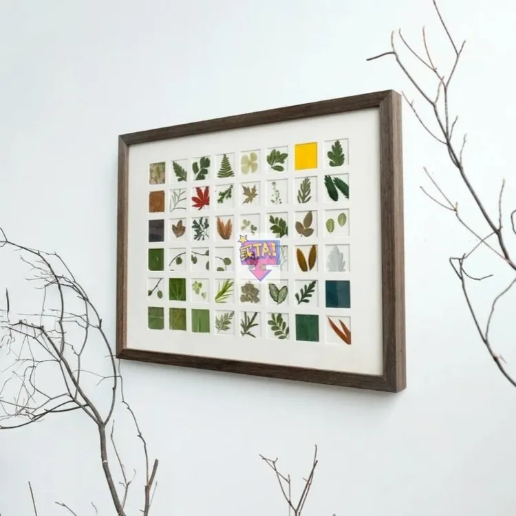 落叶相框树叶秋天挂墙多格48宫格图画框百寿图捡秋36创意展示架
