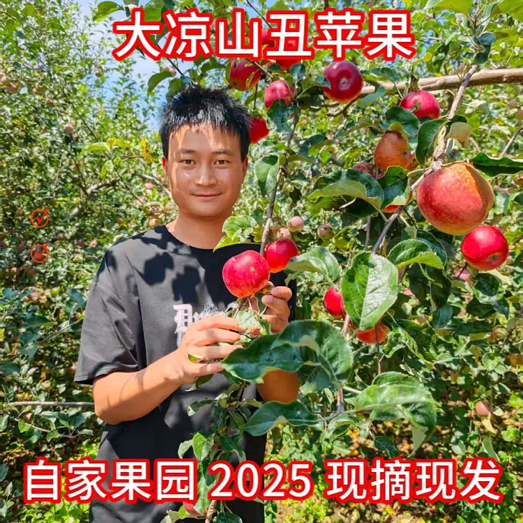苹果新鲜水果大凉山盐源丑苹果产地直发当季新鲜水果红富士苹果
