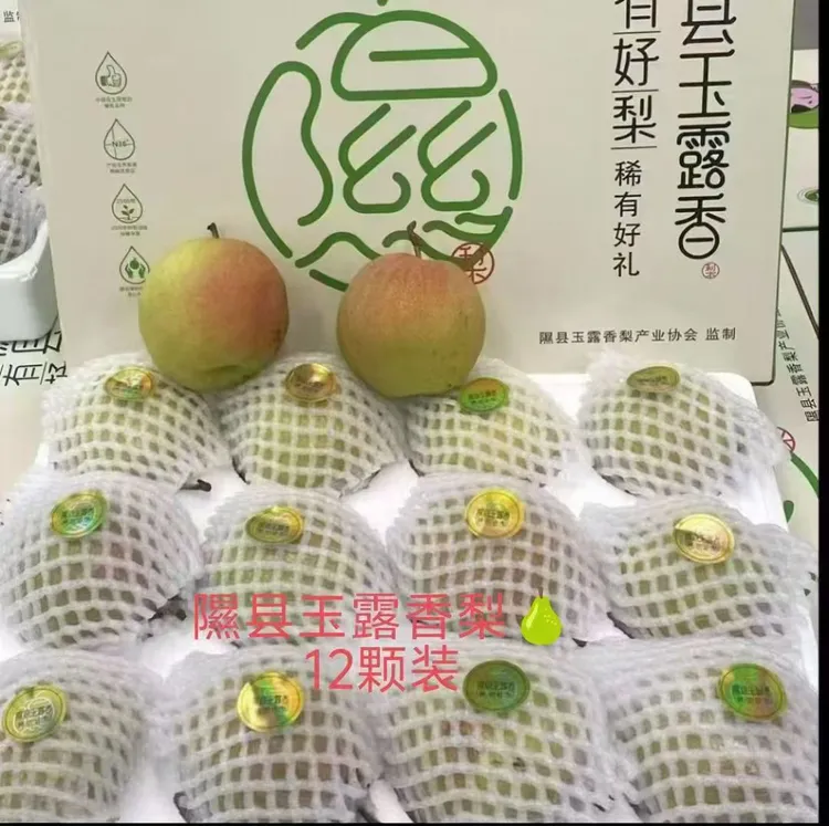 山西隰县正宗玉露香梨酥脆甘甜多汁爽口口感细腻