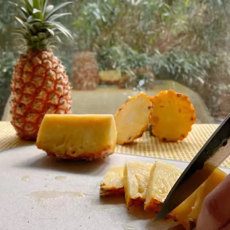 海南金钻凤梨香甜多汁