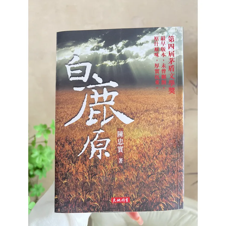 白鹿原正版完整未删减版（港版）