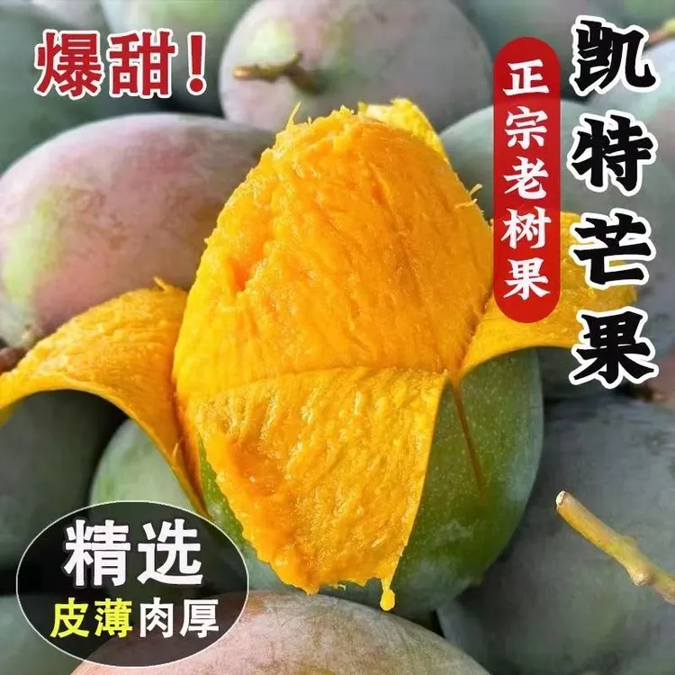 正宗四川攀枝花凯特芒大芒果应季水果皮薄肉厚鲜嫩多汁新鲜采摘Z3