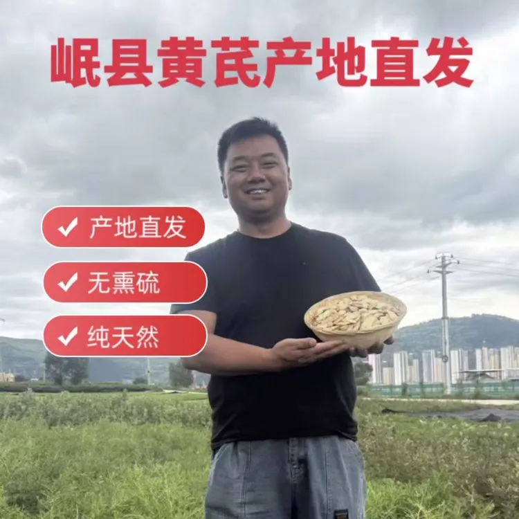 甘肃岷县黄芪大片正品无熏无染可泡水煲汤养生中药材