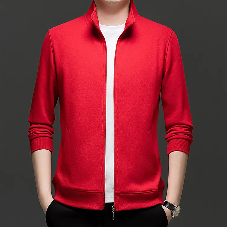 时尚长袖立领夹克男春秋季新款潮流帅气百搭休闲宽松拉链上衣