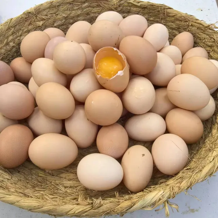 外婆的鸡窝 散养土鸡蛋 无抗鸡蛋 笨鸡蛋 纯粮食喂养