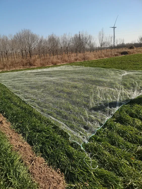 拉网拖网盖网鹌鹑拉网尼龙线网天网全覆盖网大棚通风口网
