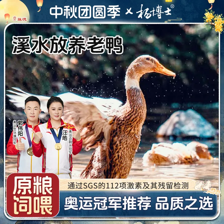 【溪水老鸭】杨博士土鸭皖南溪水放养老鸭红烧炖汤鲜美新鲜现抓现杀