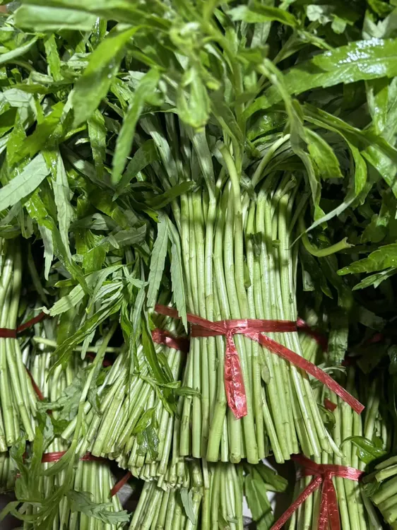 江西余干特产 余干农民自种的黎蒿