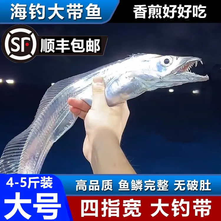 【顺丰包邮】舟山带鱼新鲜冷冻特大整条海钓刀鱼小眼油带鱼大带鱼