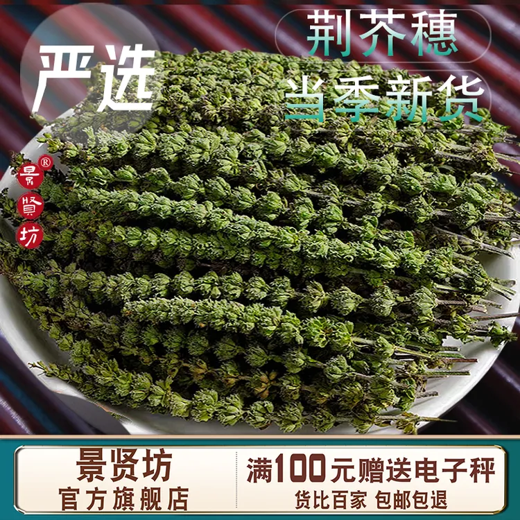 荆芥穗中药材荆芥新鲜荆介干香荆芥 猫薄荷 樟脑草带籽正品旗舰店