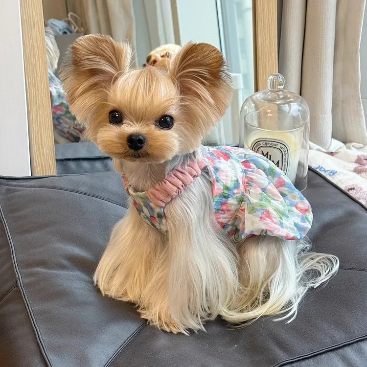 宠物服碎花吊带南瓜裙泰迪狗约克夏马尔济斯透气背心裙小型犬衣服