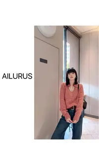 AILURUS【暖阳物语】2025深圳欧货冬款厚款重工彩色毛衣