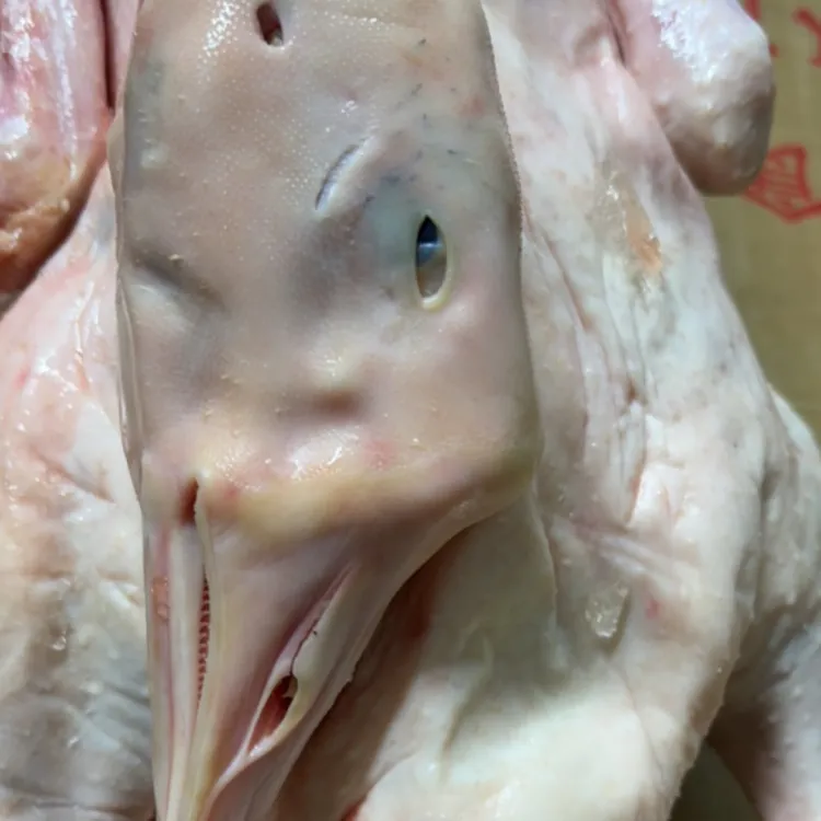 东北散养溜达鹅，带心肝顺丰快递包邮