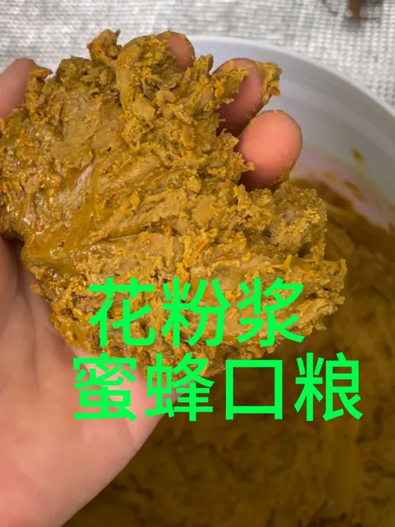 花粉浆、蜜蜂口粮、繁蜂口粮